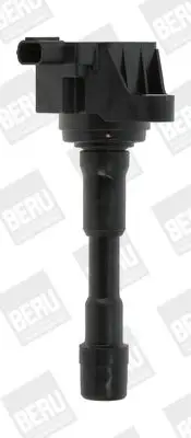 BOBINE BorgWarner (BERU) ZSE176)