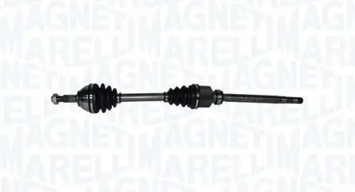AANDRIJFAS MAGNETI MARELLI 302004190046)