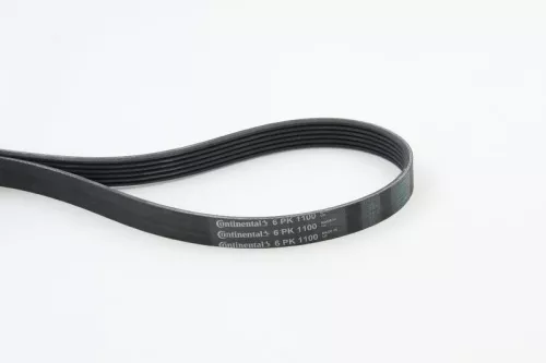 V-ribbed Belt CONTINENTAL CTAM 6PK1100)