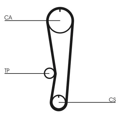 Timing Belt CONTINENTAL CTAM CT895)