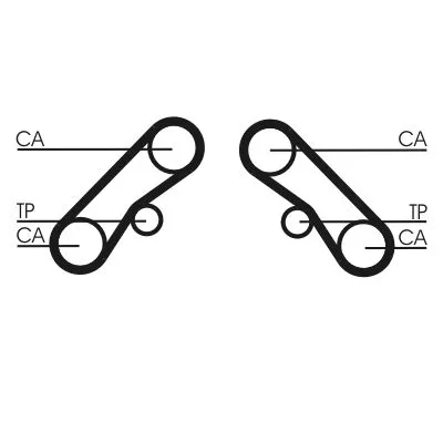 Distributieriem CONTINENTAL CTAM CT1074)