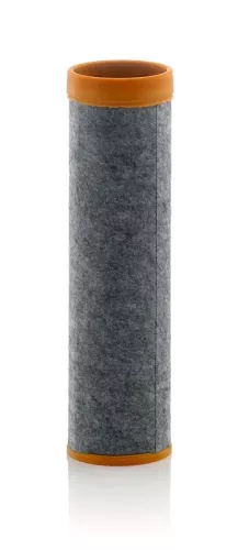 Secundair luchtfilter MANN-FILTER CF 10 001)