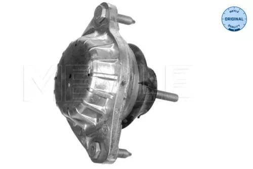 Montage, motor MEYLE 100 199 0046)