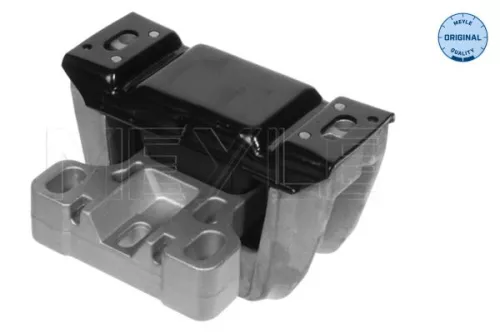 Montage, motor MEYLE 100 199 0069)