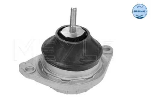 Montage, motor MEYLE 100 199 0092)
