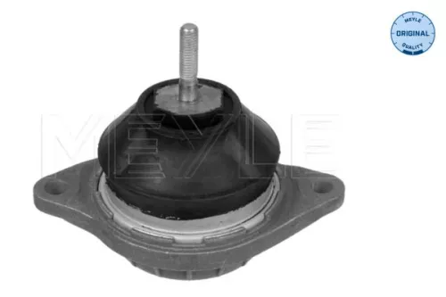 Montage, motor MEYLE 100 199 0017)