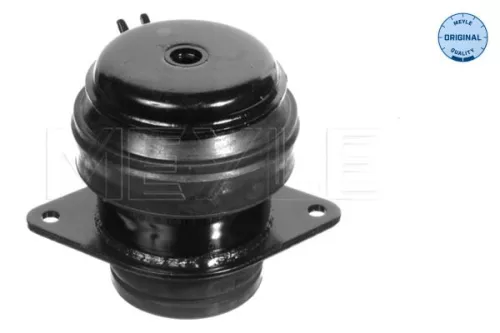 Montage, motor MEYLE 100 199 0073)