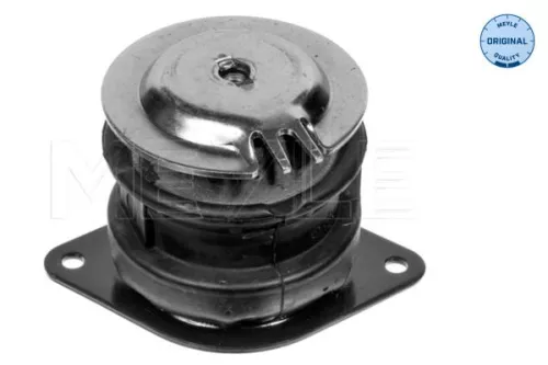 Montage, motor MEYLE 100 199 0109)