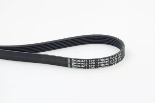 V-ribbed Belt CONTINENTAL CTAM 6PK1019 ELAST)