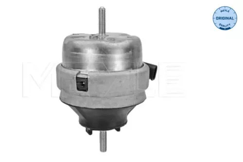 Montage, motor MEYLE 100 199 0134)