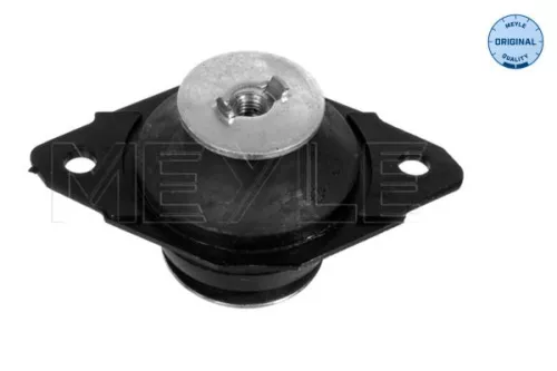 Montage, motor MEYLE 100 199 0043)
