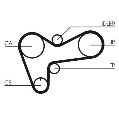 Timing Belt CONTINENTAL CTAM CT508)