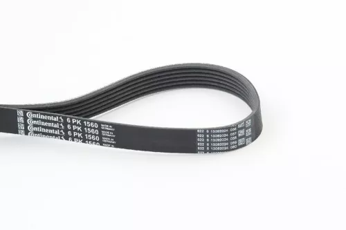 V-ribbed Belt CONTINENTAL CTAM 6PK1560)
