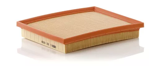 Luchtfilter MANN-FILTER C 22 009)