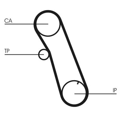 Timing Belt CONTINENTAL CTAM CT616)