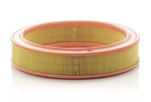Luchtfilter MANN-FILTER C 2873/1)