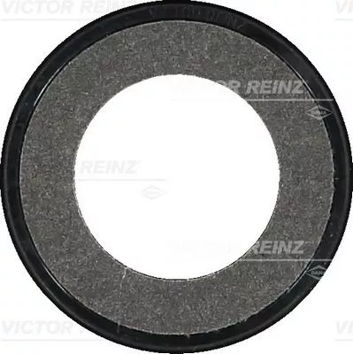 Asafdichting, krukas VICTOR REINZ 81-34313-00)