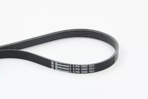 V-ribbed Belt CONTINENTAL CTAM 5PK1592)