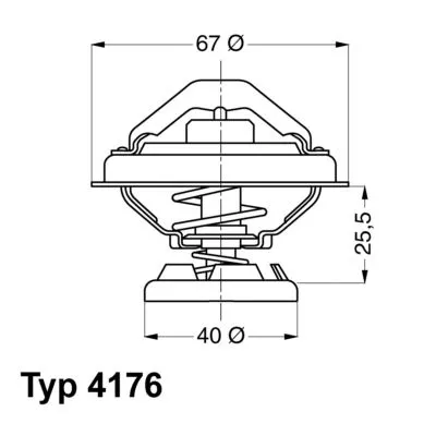 Thermostaat, koelvloeistof BorgWarner (Wahler) 4176.85D)