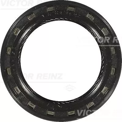 Asafdichting, nokkenas VICTOR REINZ 81-21798-40)