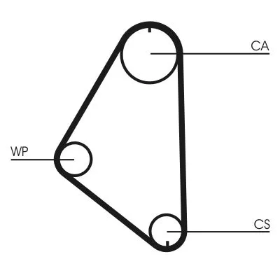 Timing Belt CONTINENTAL CTAM CT558)