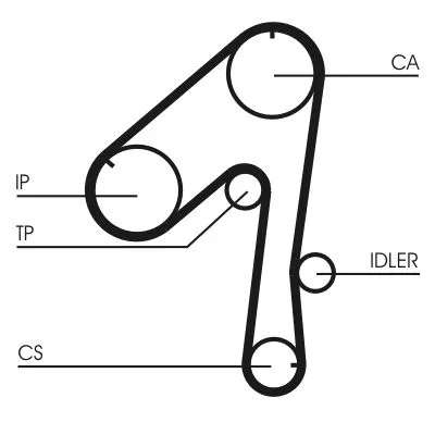 Distributieriem CONTINENTAL CTAM CT786)