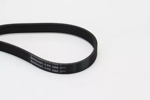 V-ribbed Belt CONTINENTAL CTAM 6PK1605)