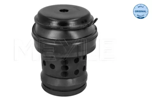 Montage, motor MEYLE 100 199 0062)