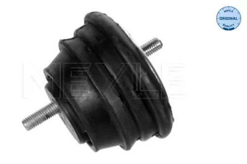 Montage, motor MEYLE 300 221 1600)