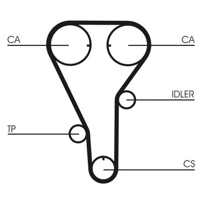 Timing Belt CONTINENTAL CTAM CT972)
