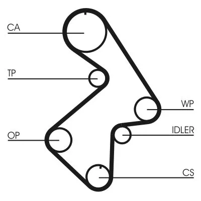 Timing Belt CONTINENTAL CTAM CT998)
