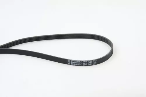 V-vormige riem CONTINENTAL CTAM 5PK1750)