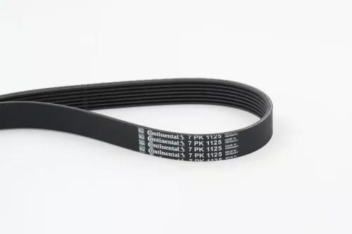 V-vormige riem CONTINENTAL CTAM 7PK1125)