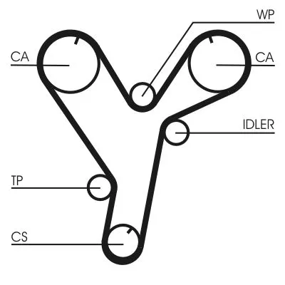 Distributieriem CONTINENTAL CTAM CT1080)