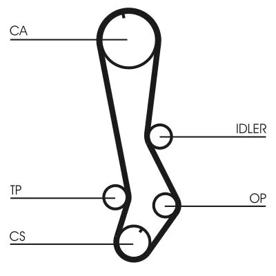 Timing Belt CONTINENTAL CTAM CT876)