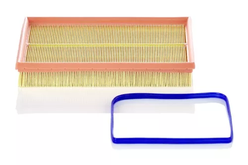 Air Filter MANN-FILTER C 2998/5 x)