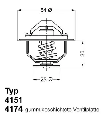 Thermostaat, koelvloeistof BorgWarner (Wahler) 4174.79D)