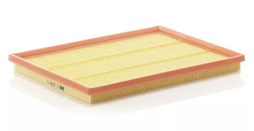 Air Filter MANN-FILTER C 3167/1)
