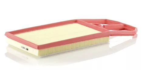 Air Filter MANN-FILTER C 4287/1)