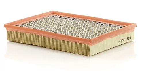 Luchtfilter MANN-FILTER C 33 189/1)