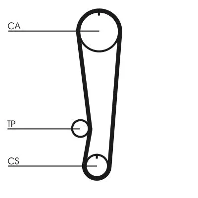 Distributieriem CONTINENTAL CTAM CT808)