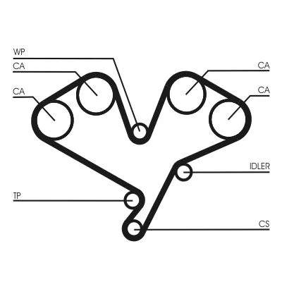 Timing Belt CONTINENTAL CTAM CT1113)