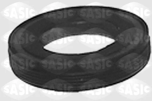 Asafdichting, differentieel SASIC 1213243)