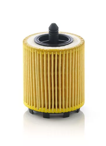 Oliefilter MANN-FILTER HU 6007 x)