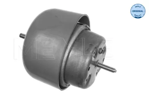 Montage, motor MEYLE 100 199 0048)