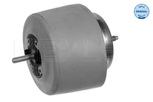 Montage, motor MEYLE 100 199 0083)