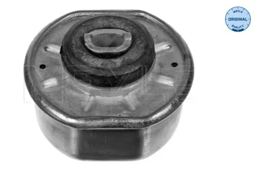 Montage, motor MEYLE 100 199 0110)