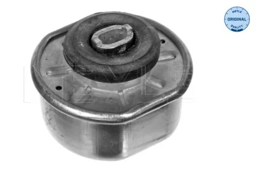 Montage, motor MEYLE 100 199 0111)