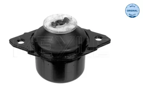 Montage, motor MEYLE 100 199 0014)