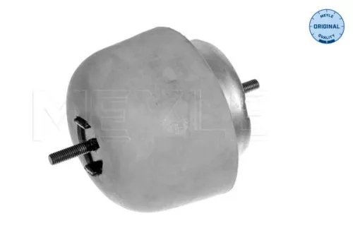 Montage, motor MEYLE 100 199 0056)